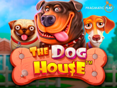 Çin aslanı köpeği. Highest paying australian online casino.2